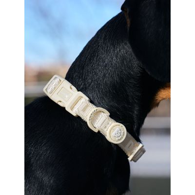 Dukier Collier Beige (Essentials) pour chien