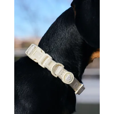 Dukier Collier Beige (Essentials) pour chien