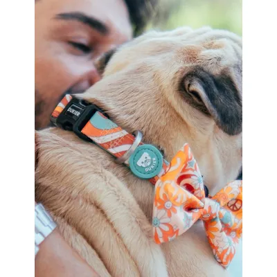 Dukier Collier Peace