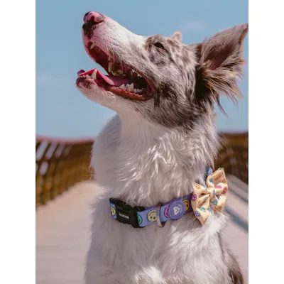 Dukier Collier Smiley