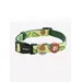 Dukier Collier Avocado pour chien