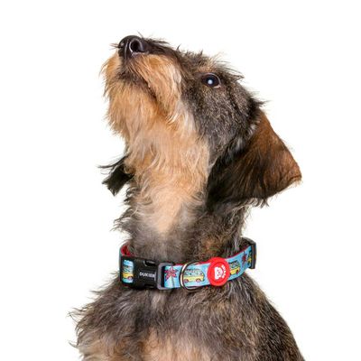 Dukier Collier California pour chien