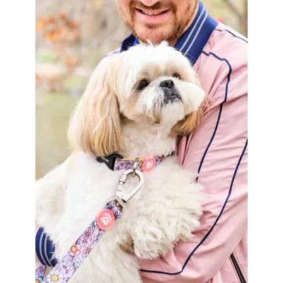 Dukier Collier Flower Power