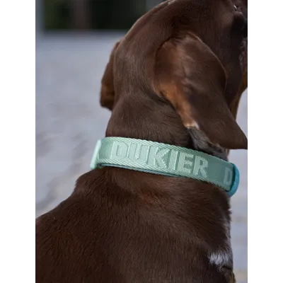 Dukier Collier Soft Green