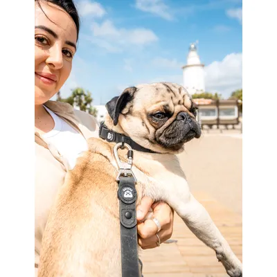 Dukier Collier  Waterproof