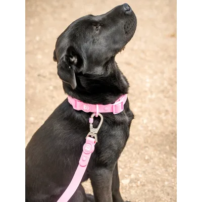 Dukier Collier  Waterproof