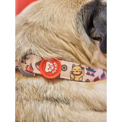Dukier Collier Asian pour chien