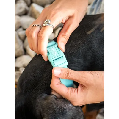 Dukier Collier  Waterproof