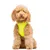 Dukier Harnais Body Lime