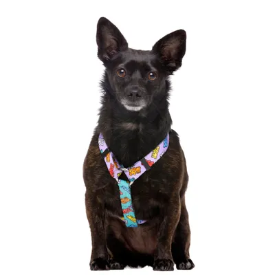 Dukier Harnais Classique Gummy Bears