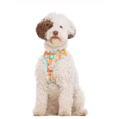 Dukier Harnais Réversible Peace