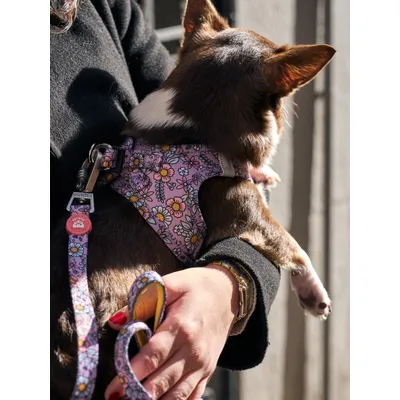 Dukier Harnais Body Flower Power