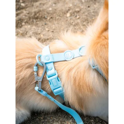 Dukier Harnais Waterproof sky blue