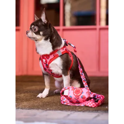 Dukier Harnais Body Berry Love