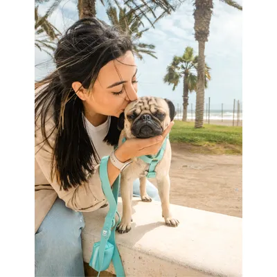 Dukier Harnais Waterproof Green