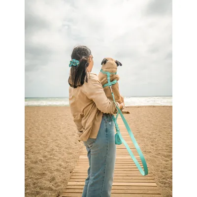 Dukier Harnais Waterproof Green