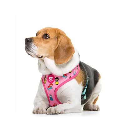 Dukier Harnais Réversible Princess