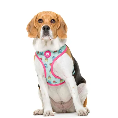 Dukier Harnais Réversible Princess