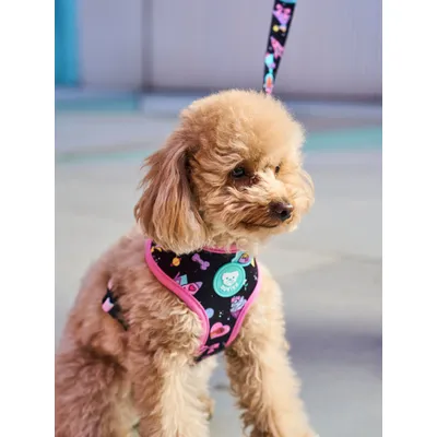 Dukier Harnais Réversible Pink Galaxy