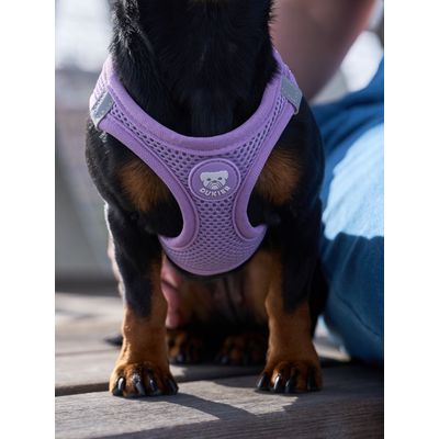 Dukier Harnais Body Violet (Essentials)
