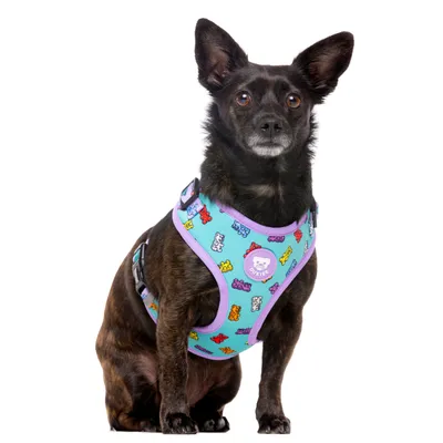 Dukier Harnais Réglable Gummy Bears