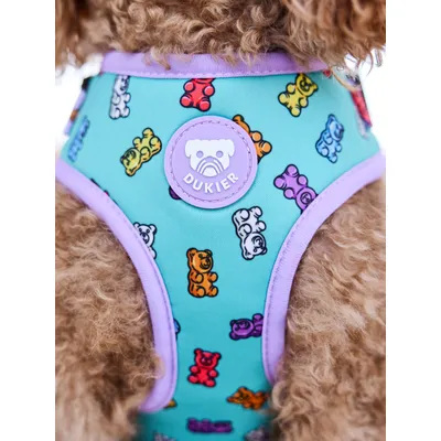 Dukier Harnais Réglable Gummy Bears