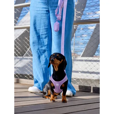 Dukier Harnais Body Violet (Essentials)