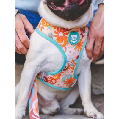 Dukier Harnais Réversible Peace