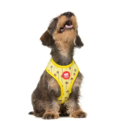 Dukier Harnais Réversible California