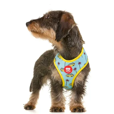 Dukier Harnais Réversible California