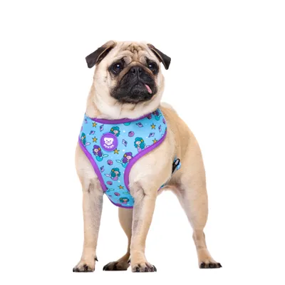 Dukier Harnais Réversible Mermaid