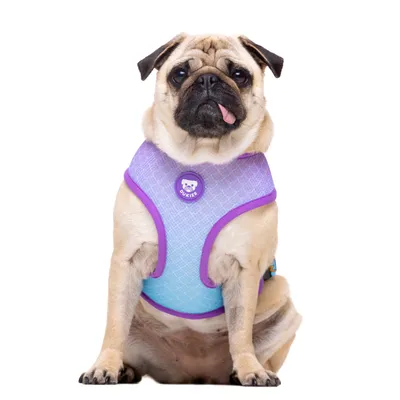 Dukier Harnais Réversible Mermaid