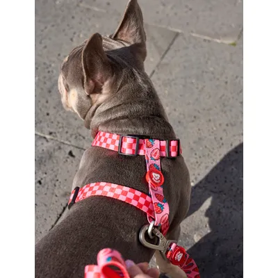 Dukier Harnais Classique Berry Love