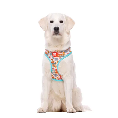 Dukier Harnais Réglable Stickers