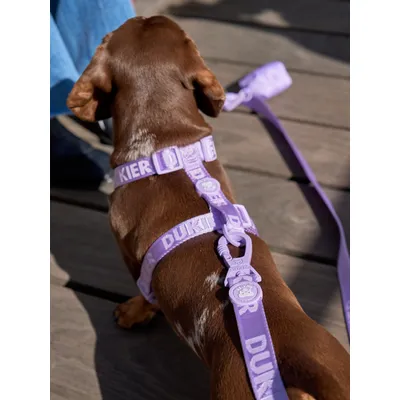 Dukier Harnais Classique Violet (Essentials)
