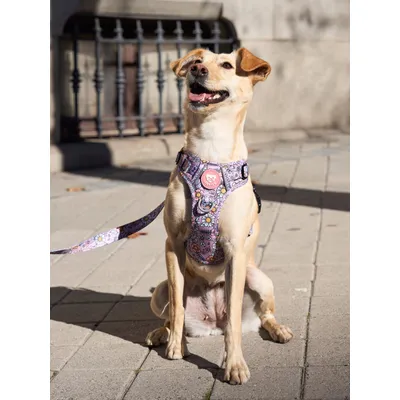 Dukier Harnais Trail  Flower Power pour chien