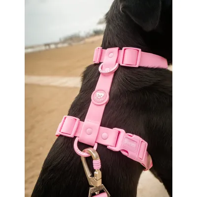 Dukier Harnais Waterproof Pink