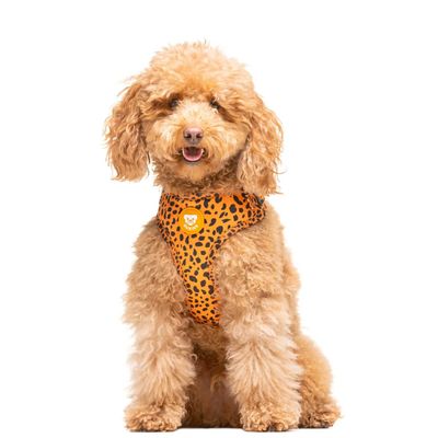 Dukier Harnais Réglable Cheetah