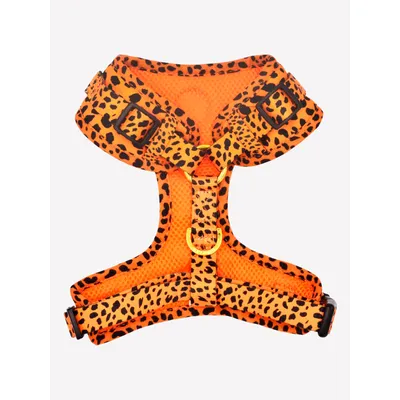 Dukier Harnais Réglable Cheetah