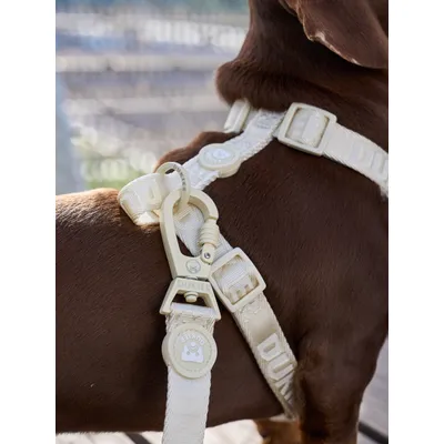 Dukier Harnais Classique Beige (Essentials)