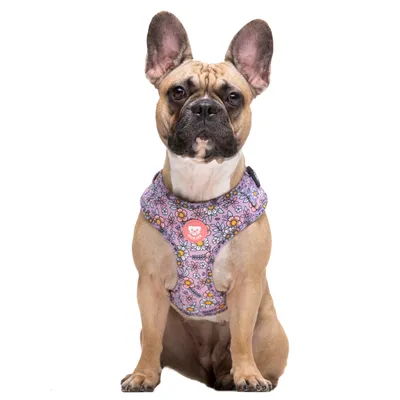 Dukier Harnais Réglable Flower Power