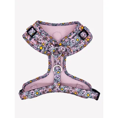 Dukier Harnais Réglable Flower Power