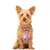 Dukier Harnais Classique Purple