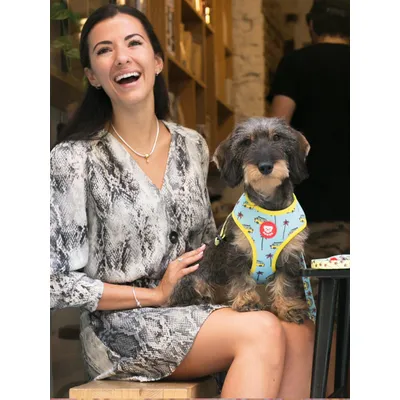 Dukier Harnais Réversible California