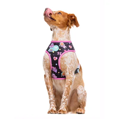 Dukier Harnais Réversible Pink Galaxy