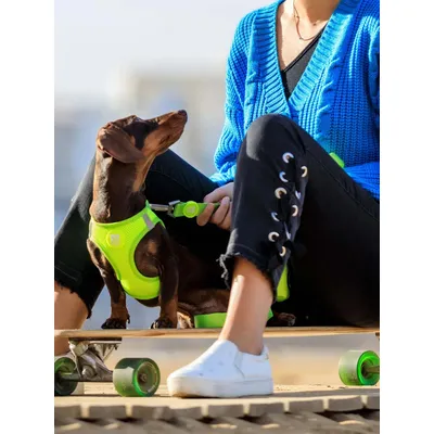 Dukier Harnais Body Lime