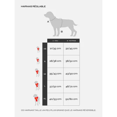 Dukier Harnais Réglable Smiley
