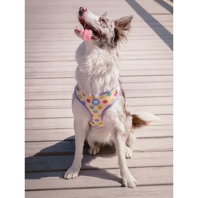 Dukier Harnais Réglable Smiley