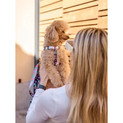 Dukier Harnais Classique Pink Galaxy