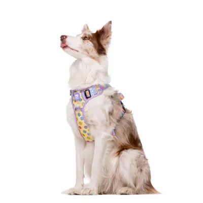 Dukier Harnais Trail  Smiley